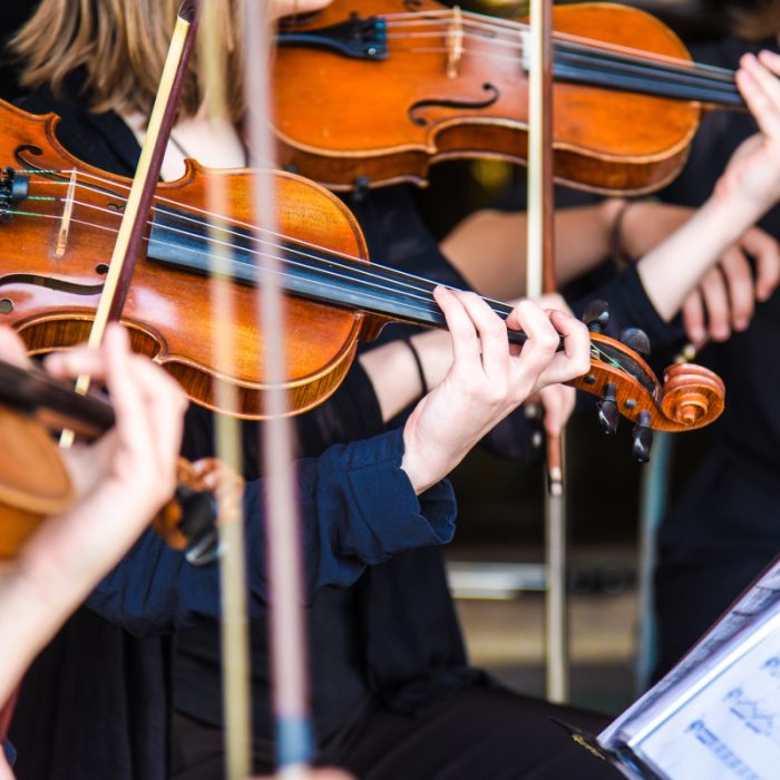 Geiger spielen intensiv bei einem Live-Konzert von Symphony Sounds.